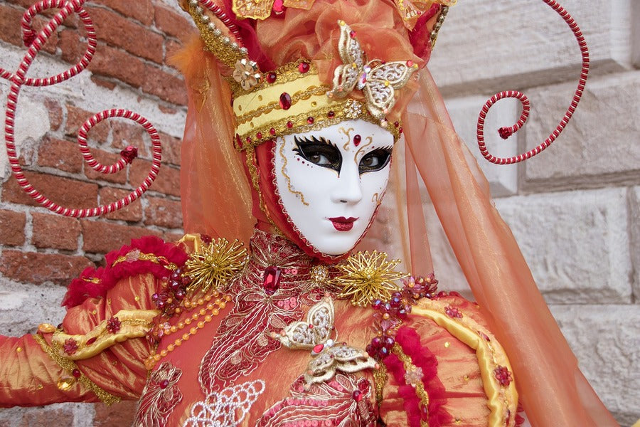 Venice Carnival Costume Closeup Photograph Print 100% Australian Made