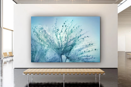 Blue Dandelion Droplet Print Tempered Glass Wall Art 100% Made in Australia Ready to Hang