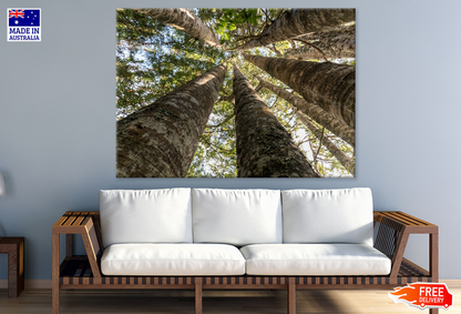 Trees View From Below Photograph Print 100% Australian Made