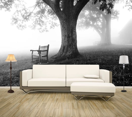 Wallpaper Murals Peel and Stick Removable Tree B&W Photograph High Quality