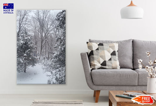 Snow Covered Trees & Field Photograph Print 100% Australian Made