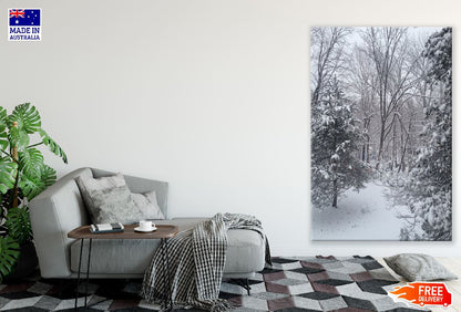 Snow Covered Trees & Field Photograph Print 100% Australian Made