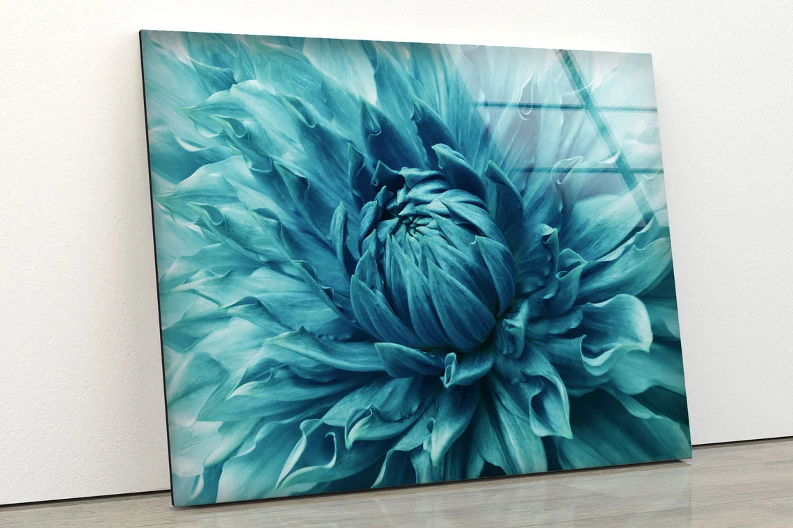 Blue Flower Closeup Photograph Acrylic Glass Print Tempered Glass Wall Art 100% Made in Australia Ready to Hang