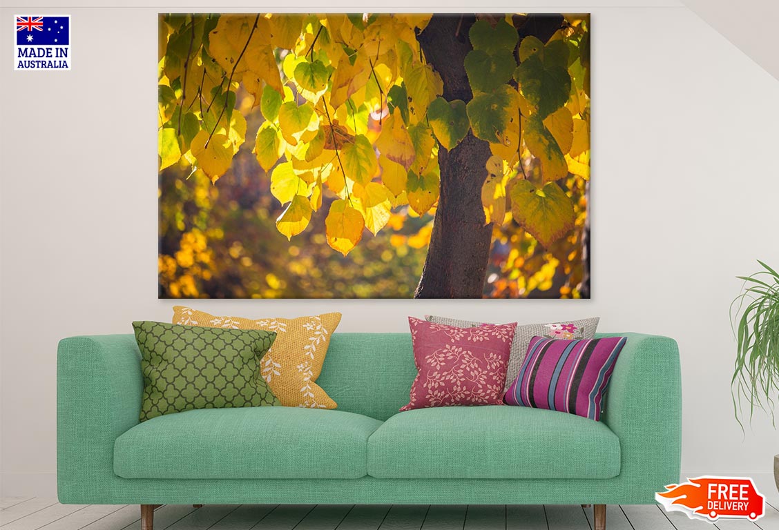 Yellow Leaves Closeup Photograph Print 100% Australian Made