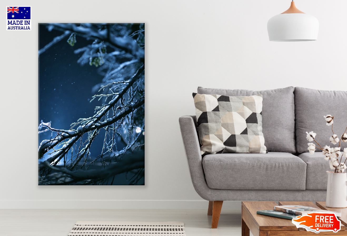 Snow Covered Tree Branch Night View Photograph Print 100% Australian Made