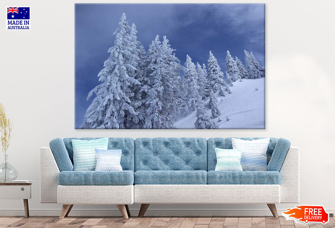 Snow Covered Trees on Mountain Photograph Print 100% Australian Made