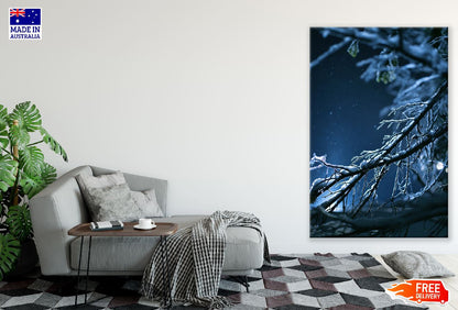 Snow Covered Tree Branch Night View Photograph Print 100% Australian Made