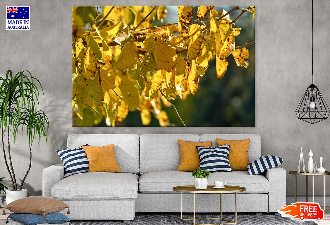 Yellow Leaves Closeup Photograph Print 100% Australian Made