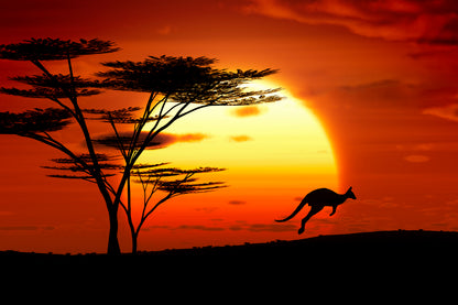 Kangaroo on Field Sunset View Photograph Print 100% Australian Made