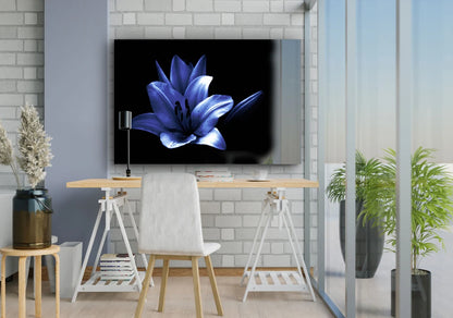 Blue Flower on Dark Print Tempered Glass Wall Art 100% Made in Australia Ready to Hang