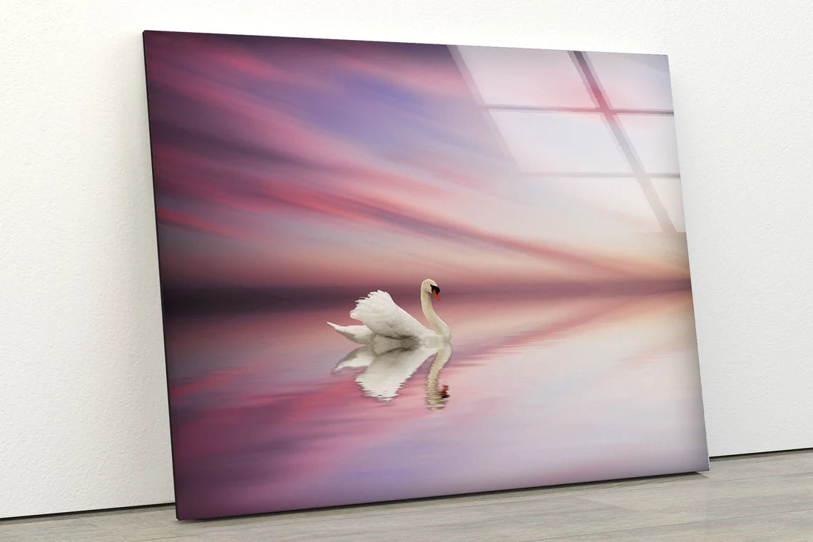 Swan on Lake Sunset Photograph Acrylic Glass Print Tempered Glass Wall Art 100% Made in Australia Ready to Hang