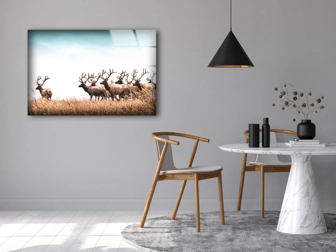 Deer Herd on Dry Grass Field Photograph Acrylic Glass Print Tempered Glass Wall Art 100% Made in Australia Ready to Hang