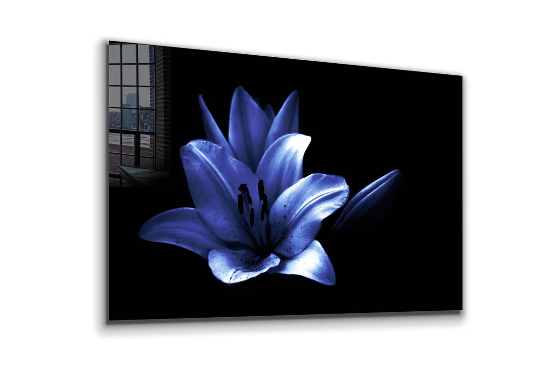 Blue Flower on Dark Print Tempered Glass Wall Art 100% Made in Australia Ready to Hang