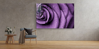 Purple Rose Droplet Print Tempered Glass Wall Art 100% Made in Australia Ready to Hang