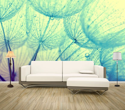 Wallpaper Murals Peel and Stick Removable Dandelion Flower Closeup High Quality