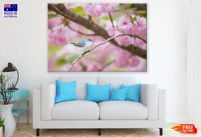 Pink Flower with Bird Photograph Print 100% Australian Made