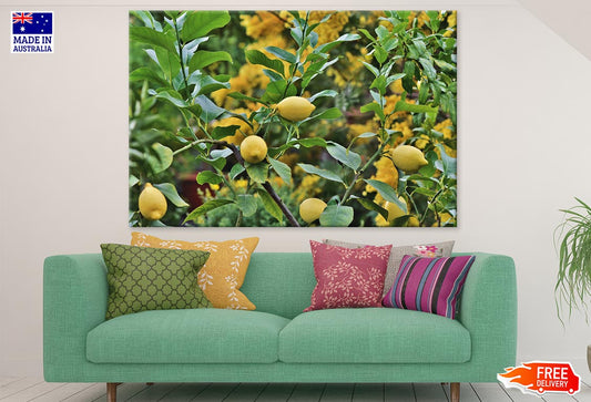 Lemon Plant Closeup Photograph Print 100% Australian Made