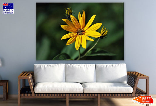 Woodland Sunflower Closeup Photograph Print 100% Australian Made