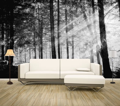 Wallpaper Murals Peel and Stick Removable B&W Forest High Quality