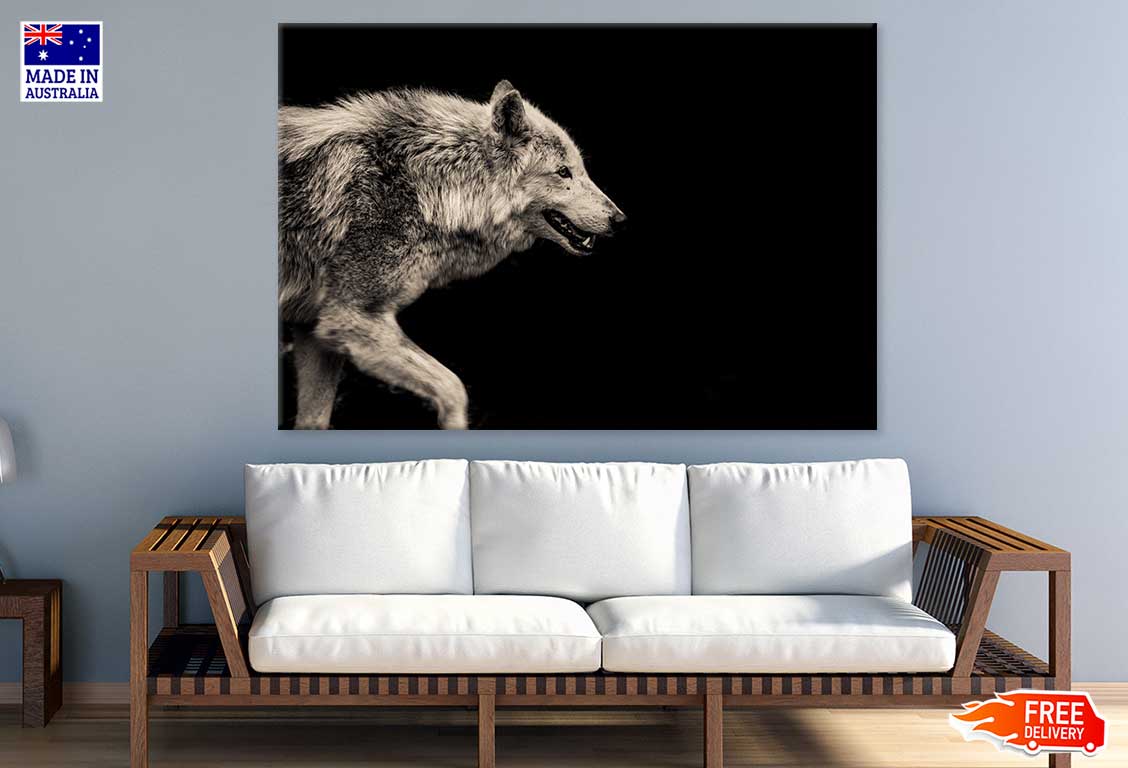 Wolf Closeup Side View Photograph Print 100% Australian Made