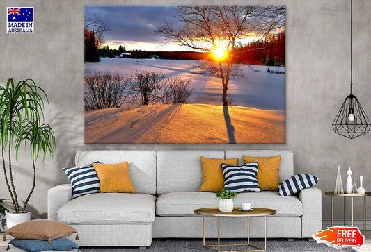 Trees & Snow Covered Ground Photograph Print 100% Australian Made