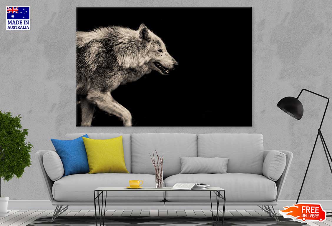 Wolf Closeup Side View Photograph Print 100% Australian Made