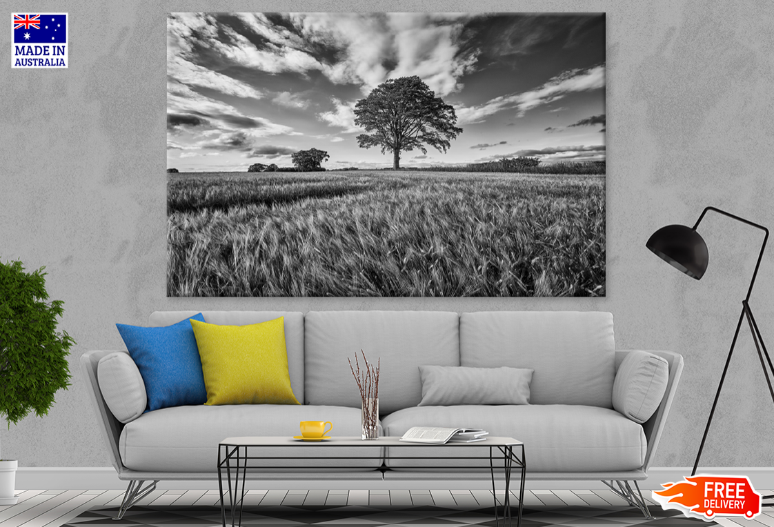 B&W Trees & Sky View Photograph Print 100% Australian Made