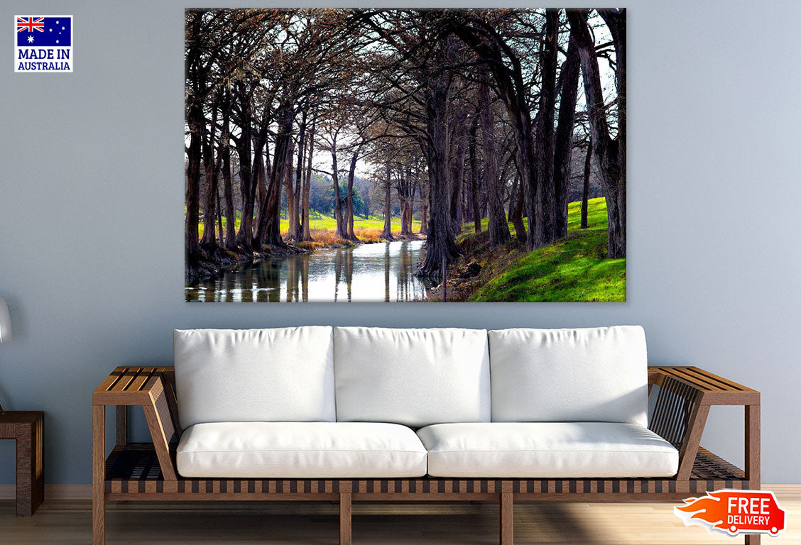 Trees Row Along River Photograph Print 100% Australian Made