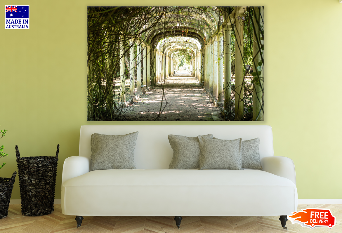 Garden Tree Tunnel Photography Print 100% Australian Made