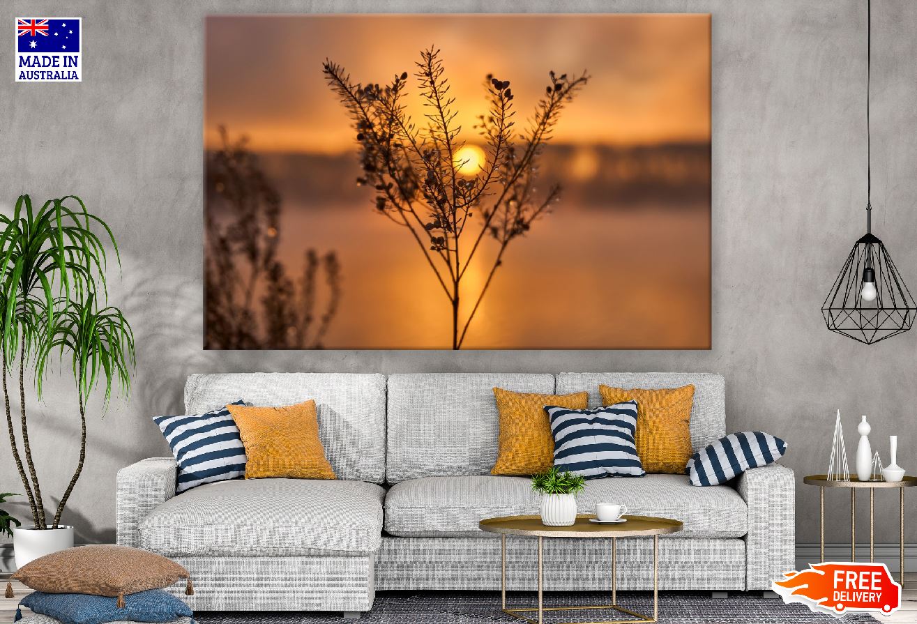 Grass Drip Macro Sunrise Photograph Print 100% Australian Made