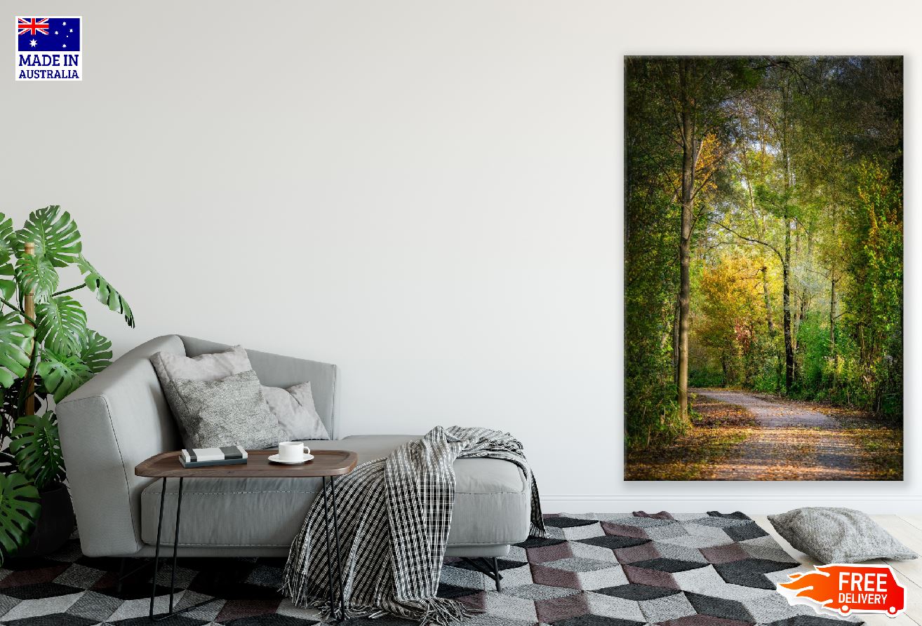 Pathway Covered with Autumn Trees Photograph Print 100% Australian Made