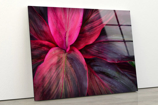 Purple Leaves Photograph Acrylic Glass Print Tempered Glass Wall Art 100% Made in Australia Ready to Hang