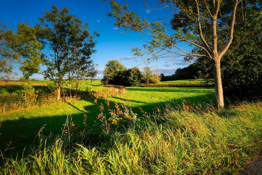 Nature Scenery Photograph Print 100% Australian Made