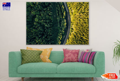 Foliage Forest and Curvy Road Sunset Photograph Print 100% Australian Made