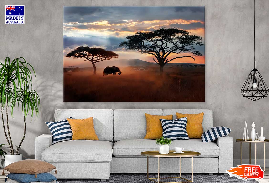 African Elephant Serengeti Park Photograph Print 100% Australian Made