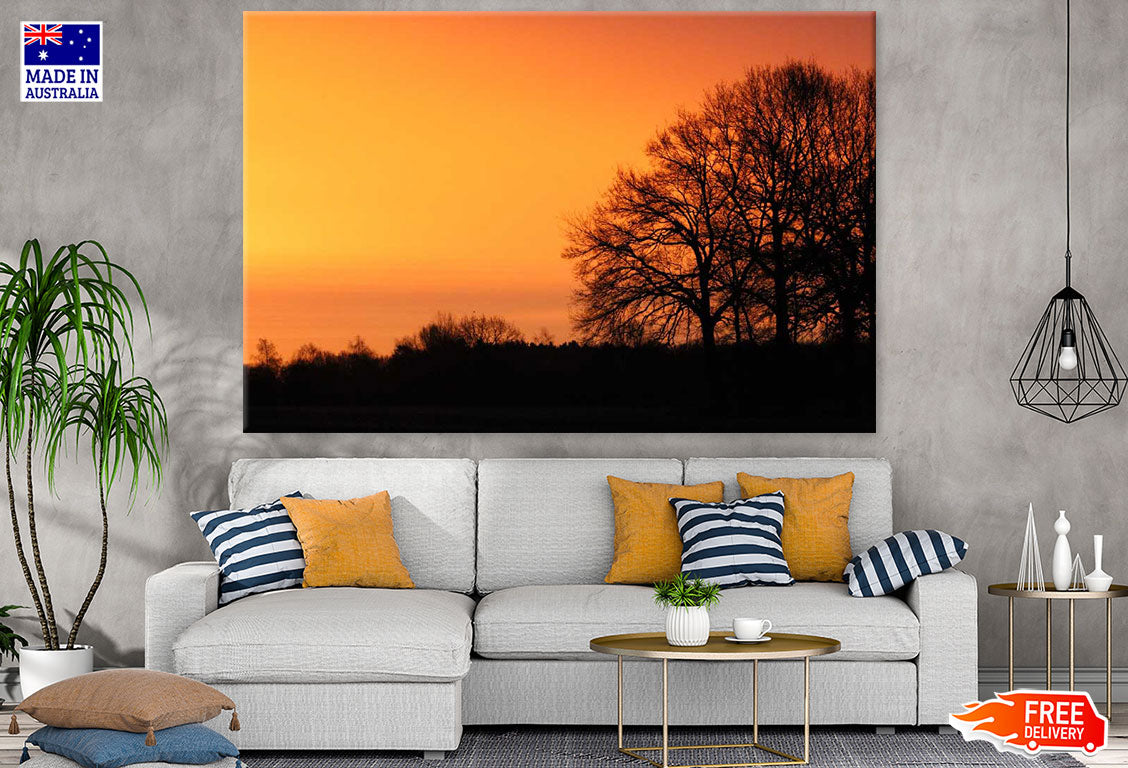 Trees at Sunset Photograph Print 100% Australian Made