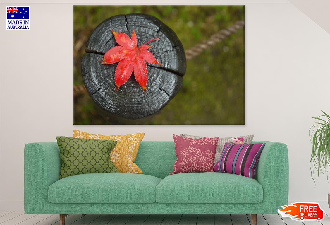 Red Autumn Leave on Wood Closeup Photograph Print 100% Australian Made