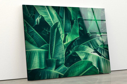 Green Leaves Closeup Photograph Acrylic Glass Print Tempered Glass Wall Art 100% Made in Australia Ready to Hang
