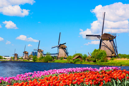 Flower Field & Windmills Scenery Home Decor Premium Quality Poster Print Choose Your Sizes
