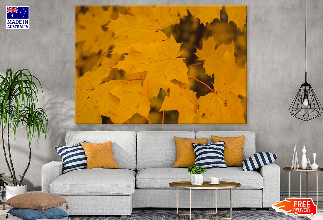 Yellow Autumn Leaves Closeup Photograph Print 100% Australian Made