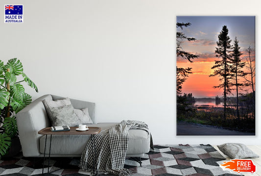 Tall Spruce Near the lake Sunset Photograph Print 100% Australian Made