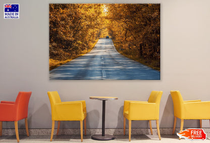 Road Covered Autumn Trees Photograph Print 100% Australian Made