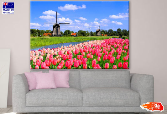 Windmills & Flower Field Photograph Print 100% Australian Made