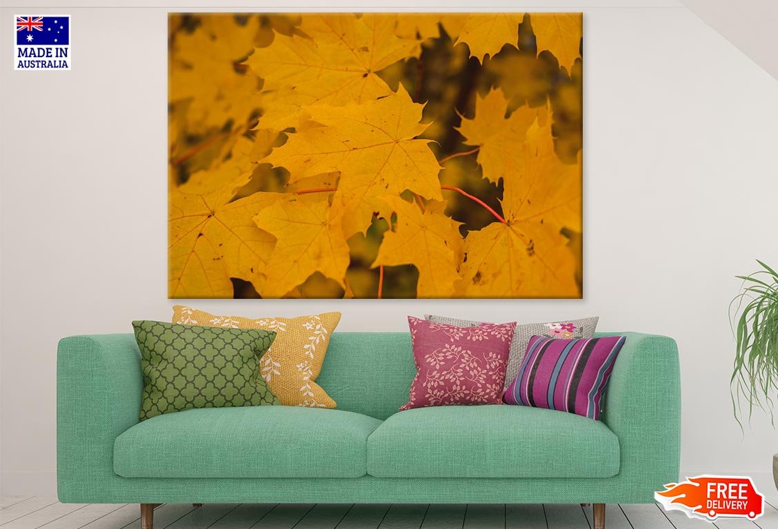 Yellow Autumn Leaves Closeup Photograph Print 100% Australian Made