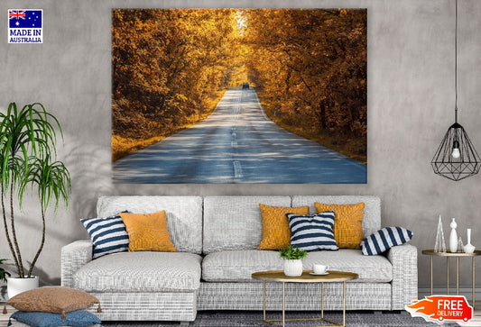 Road Covered Autumn Trees Photograph Print 100% Australian Made