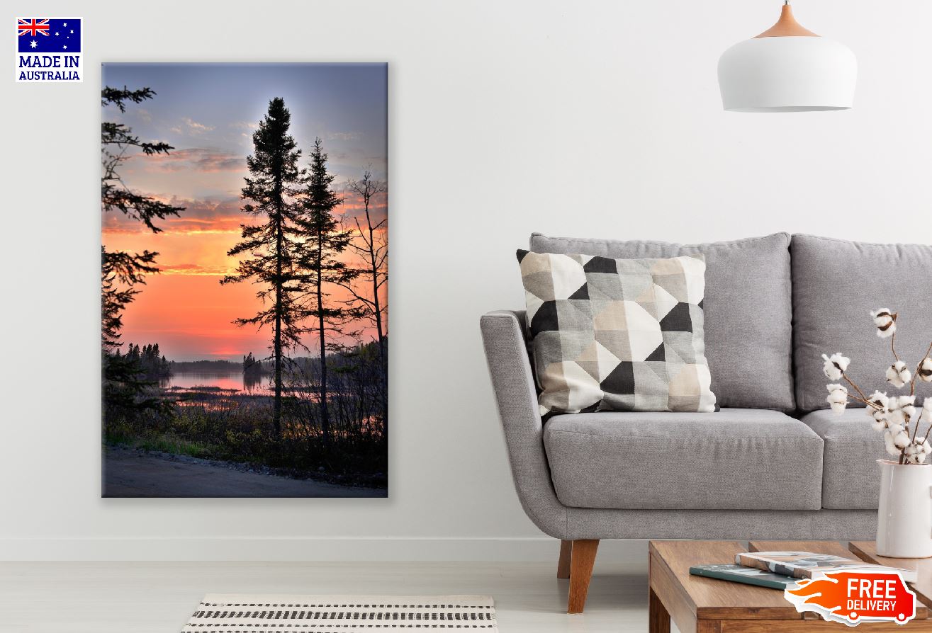 Tall Spruce Near the lake Sunset Photograph Print 100% Australian Made