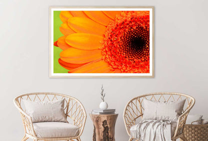 Orange Gerbera Closeup Macro View Photograph Home Decor Premium Quality Poster Print Choose Your Sizes