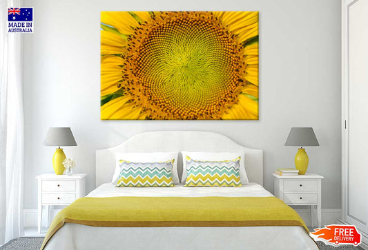 Macro Pollen of Sunflower View Photograph Print 100% Australian Made