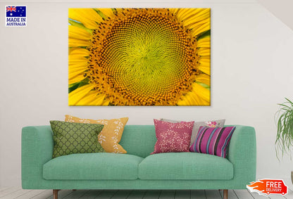 Macro Pollen of Sunflower View Photograph Print 100% Australian Made