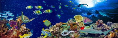 Panoramic Canvas Underwater Fish & Corals High Quality 100% Australian made wall Canvas Print ready to hang